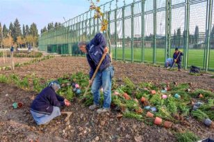 Spor adası Karacabey’e değer katacak