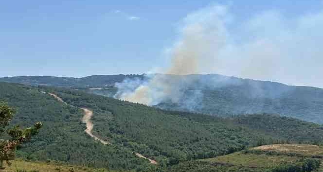 Biga’da çıkan orman yangını kontrol altına alındı