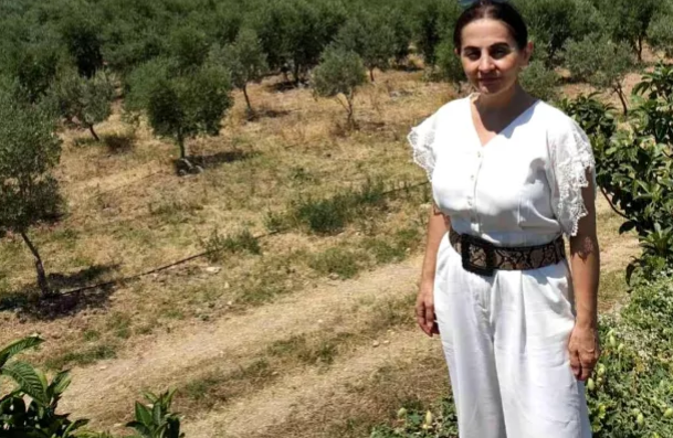 Dünya çapında firmalarla çalışan Türk iş kadını Yıldız Kalas Çanakkale’de zeytinyağı üretecek
